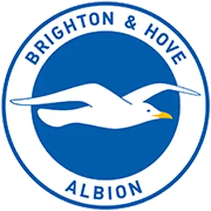Brighton & Hove Albion Brighton & Hove Albion